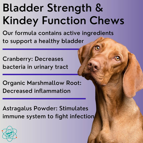 Bladder Strength Chews - Approx 55 Natural Dog UTI Treatment | Kidney Support for Senior Dogs