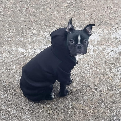 Dog Hoodie, Pet Jumpsuit Fleece Sweatshirt with Buttons, Dog Clothes, Dog Cold Weather Coats, Dog Pajamas, Winter Warm Cotton Puppy Hoodie 4 Legs Dog Clothes for Small Medium Large Dogs Cats Boy Girl