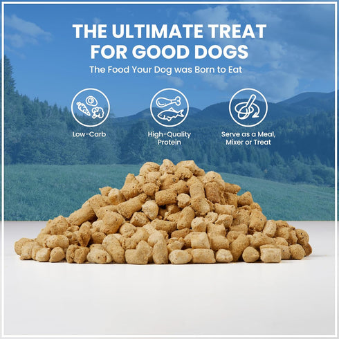Muenster Freeze Dried Dog Food Topper Bites (5oz) - Farmhaus Chicken Freeze Dried Raw Dog Food