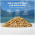 Muenster Freeze Dried Dog Food Topper Bites (5oz) - Farmhaus Chicken Freeze Dried Raw Dog Food