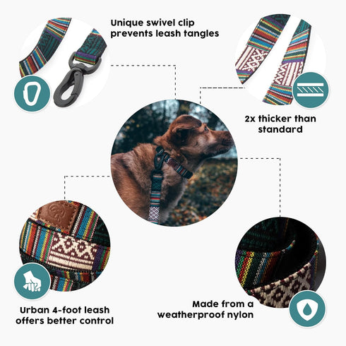 Embark Urban Dog Leashes, Colorful Strong Nylon for Small Medium Large Dogs, Heavy Duty (Mayan, 4 Ft)