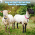 3 Pack Goat Collars with Bell, Adjustable Sheep Collars with Quick Release Buckle, Durable Nylon