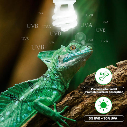 LUCKY HERP 5.0 UVA UVB Reptile Light - 15W Compact Fluorescent Lamp for Chameleons, Lizards, Tortoises, Snakes