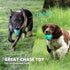 Squeaky Dog Toys for Aggressive Chewers, Rubber Interactive Puppy Ball with Squeaker for Medium and Large Breeds