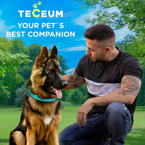 TECEUM Reflective Basic Nylon Pet Collar, Quick Release Buckle, Teal, S, for Small, Medium, Large Dogs, Cats