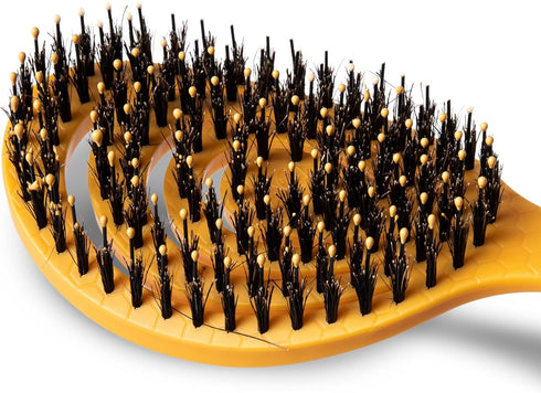Burt’s Bees for Pets Porcupine Bristle Brush for Large Dogs, Eco-Friendly Grooming Brush with Handle