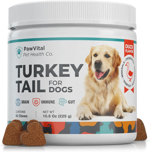 Turkey Tail Mushroom for Dogs Gut Health & Immune Support Supplement 100%