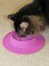 Pet Food and Water Bowl for Cats, Toy Breed Dogs, Bearded Dragons, Turtles, Small Pets (3/4 Cup, Sky Blue)