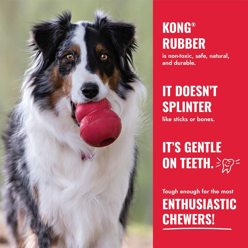 KONG Ball with Hole - Durable Dog Fetch Toy for Training, Interactive Playtime & More - Classic Natural Rubber Ball
