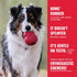 KONG Ball with Hole - Durable Dog Fetch Toy for Training, Interactive Playtime & More - Classic Natural Rubber Ball
