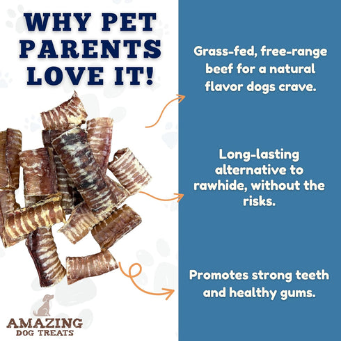 6 Inch (10 16.5 oz) Amazing Dog Treats - Beef Trachea Dog Chews pcs - - Trachea Dog Treats - NO Hide - Digestible