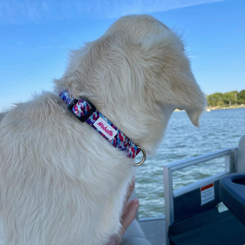 Classic Adjustable Pet Collar, Durable Comfortable for Small Medium Large Dogs, Washable Polyester with Easy Buckle