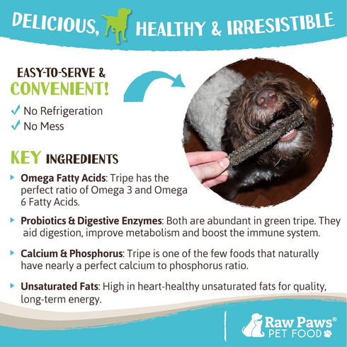 Raw Paws Green Lamb Tripe Sticks for Dogs, 10-Count, Crunchy All Natural Dog Treats, Single Ingredient, Grass-Fed &