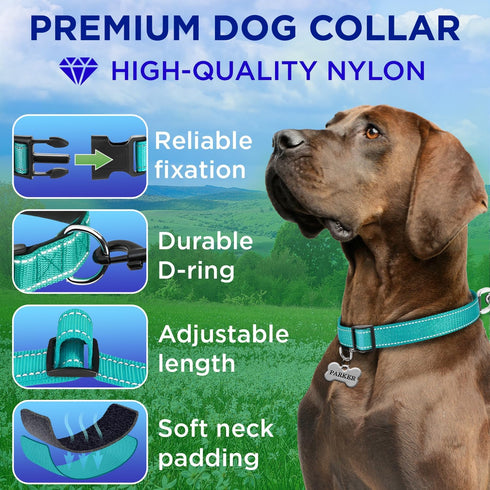 TECEUM Reflective Pet Collar – Aquamarine – M – Extra Soft Padding – Basic Nylon Dog Collar – Quick Release Buckle – Fits Small, Medium and Large Dogs, Puppies, Cats – ESA & Service Dog Options