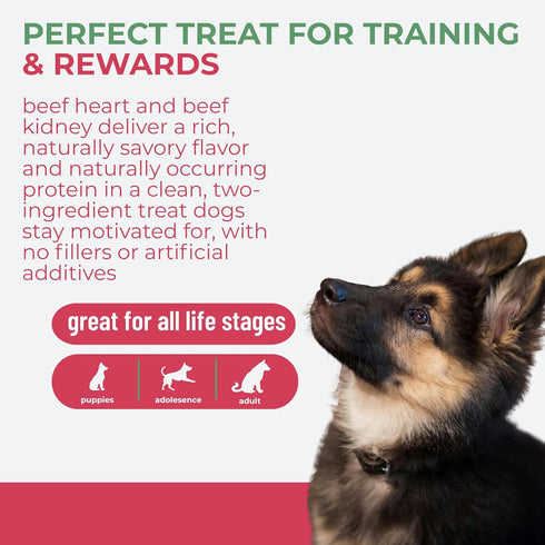 2.5 oz Momentum Carnivore Nutrition Freeze-Dried Beef Training Bites Two Ingredients-Beef Kidney and Heart, Grain-Free