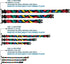 Buckle-Down Plastic Clip Collar - Dinosaurs Black/Multi Color, 1" Wide, Fits 15-26" Neck, Large