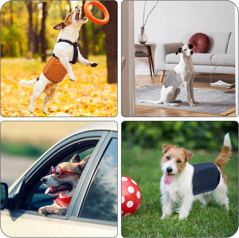 CADONO 1 Pack 3 Reusable Dog Diapers Washable Male Belly Bands for Dogs, High Absorbing Male Dog Doggie Puppy Wraps