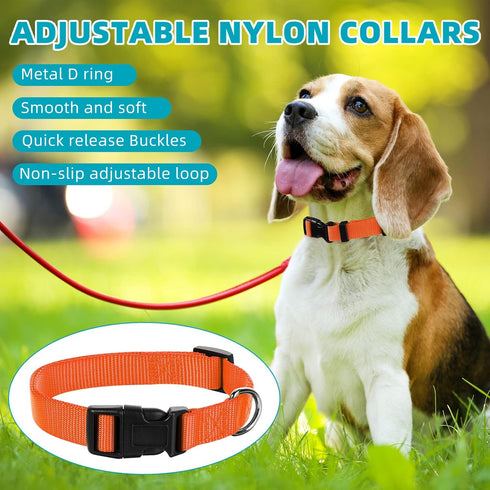 12 Pieces Adjustable Nylon Dog Collar Bulk with Quick Release Buckle for Walking, Running, Training - Medium