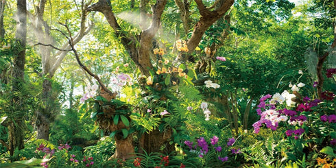 AWERT 72x24 inches Jungle Terrarium Background, Grass Flowers Trees Sunlight Reptile Habitat Vinyl Background