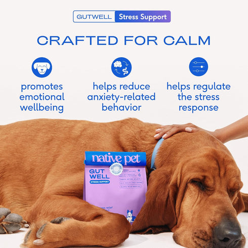 Wellbeing, 60 Native Pet GutWell Stress Support - Dog Anxiety Relief & Calming Supplement - Promotes Emotional