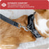 Downtown Pet Supply No Pull Step in Dog Harness, X-Large Charcoal - Adjustable Padded Mesh Fabric with Reflective Trim