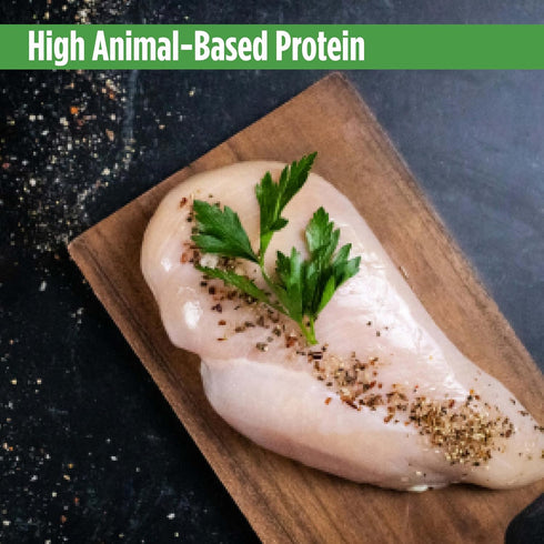 3oz (24 Pack) Nulo Wet Canned Cat Food - Shredded Chicken & Duck, High Protein Grain-Free Wet Cat Food Shreds
