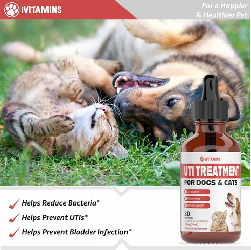 Dog UTI Treatment and Cat UTI Medicine, Cranberry Supplement for Dogs and Cats, 1 fl oz