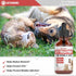 Dog UTI Treatment and Cat UTI Medicine, Cranberry Supplement for Dogs and Cats, 1 fl oz