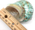 PEPPERLONELY 3 Inch 3-1/2 Inch Green Blue Gade Big Turbo Sea Shells, Large Hermit Crab Shells, ~