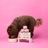 6oz (Pack 8) Weruva Awesome Belly Wet Dog Food, Beef & White Rice, Can
