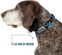 Buckle-Down Seatbelt Buckle Dog Collar, Stitch Snacking Poses, Black/Blue, 1" Wide, Fits 15-26" Neck