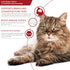 INABA Churu for Senior 10+: Creamy Lickable Cat Treats with Taurine, Vitamin E & C, 0.5 oz Each, 24 Tubes