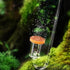 LANDEN AERVITA CO2 Diffuser Kits, Nano-Sized Ceramic Disc for Aquarium CO2, Suction Cups & Silicone Hose, 10-30gal