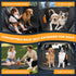 400lbs,New Hammock,Suitable Dog Car Seat Cover for Back Seat, Hard Bottom Back Seat Extender for Dogs - Supports