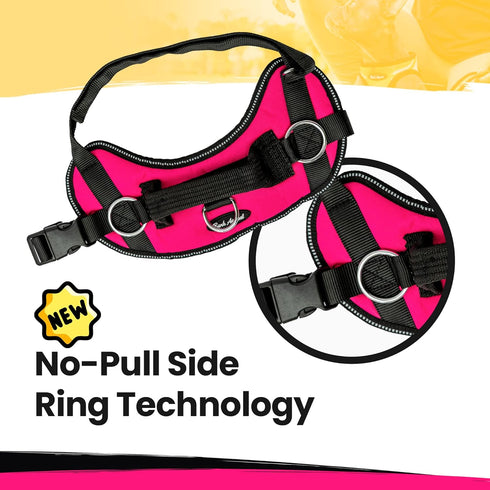 Bark Appeal No-Pull Dog Harness, Adjustable & Reflective, Soft-Padded Vest with Easy Control Handle & 3 Leash Clips