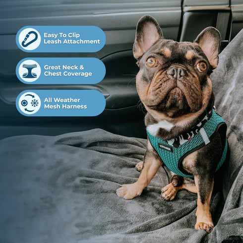 Best Pet Supplies Reflective No Pull Harness for Small, Medium Dogs, Cats - All Weather Mesh, Turquoise 2-Tone, XL