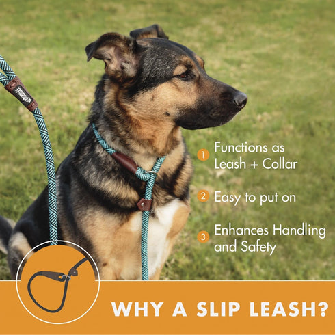 Friends Forever Extremely Durable Dog Rope Leash, Premium Quality Training Slip Lead, Reflective, 6 Feet, Olive