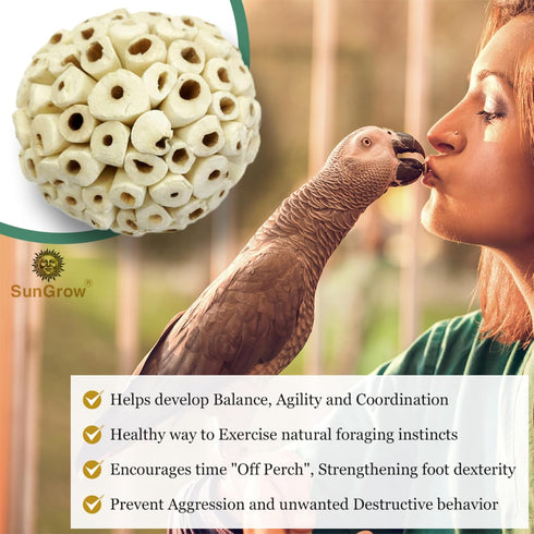 SunGrow Sola Atta Foraging Balls, 2”, White Soft Shred Parrot Chews, 3 Pcs/Pack for Small Pets
