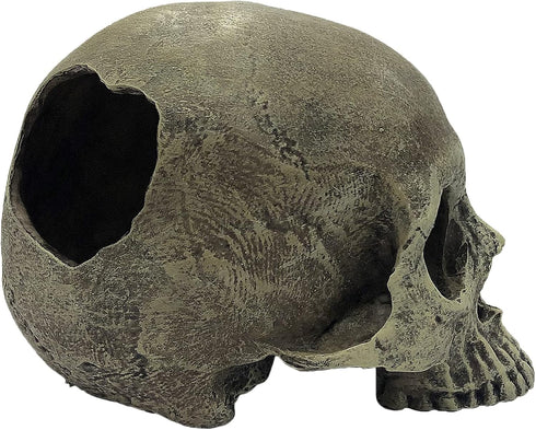 Komodo Reptile Terrarium Realistic Half Human Skull Ornament Decor, Easy to Clean Aquarium Decoration Accessory