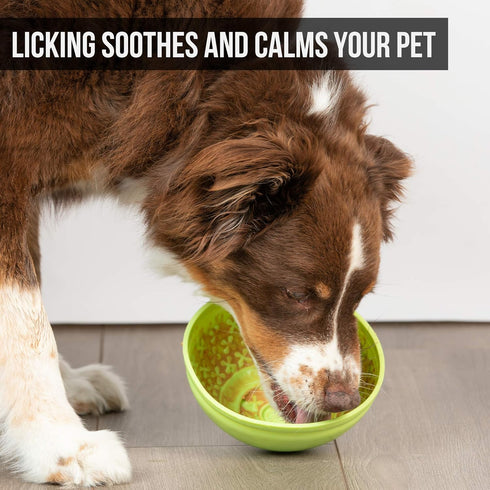 Hyper Pet IQ Treat Lick Mat for Dogs, Dog Slow Feeder & Cat Lick Mats, Great Alternative to Slow Feeders