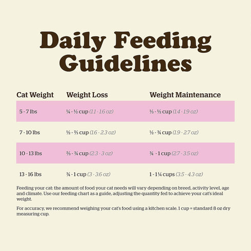 Now Fresh Dry Cat Food, Turkey, Salmon and Duck Recipe - 3 lbs Grain Free Cat Food