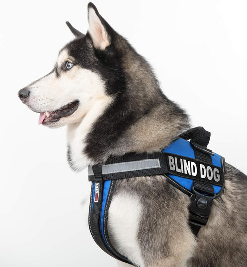 Dogline Removable Patches for Blind Dogs - Large/X-Large