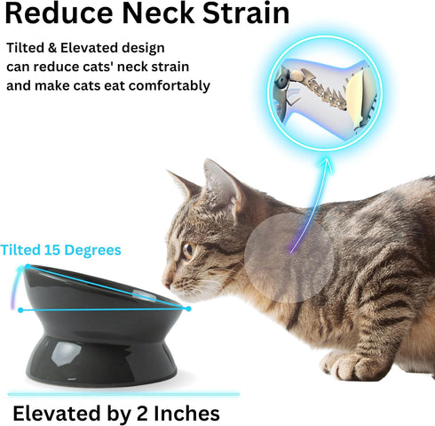 Ceramic Elevated and Tilted Cat Food Bowl, Dishwasher Safe, White (Gray)