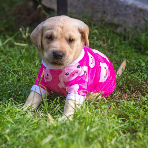 CuteBone Dog Christmas Pajamas Puppy Onesies Small Dogs Soft Pjs Coat Comfy Pet Clothes Outfit Doggie Bodysuit P46XS