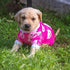 CuteBone Dog Christmas Pajamas Puppy Onesies Small Dogs Soft Pjs Coat Comfy Pet Clothes Outfit Doggie Bodysuit P46XS