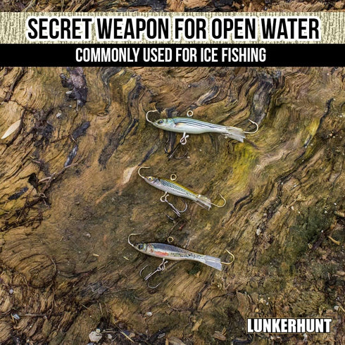 LunkerHunt Bass Fishing Swimbaits and Jigs, Triple Action Walleye Jigs, Saltwater Bait