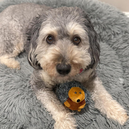 SPOT 4in, 1 Butterballs Forest Animals Dog Toy-Soft, Stuffed, Squeaky, Plush Fabric Toy for Mini and Small Dogs