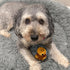 SPOT 4in, 1 Butterballs Forest Animals Dog Toy-Soft, Stuffed, Squeaky, Plush Fabric Toy for Mini and Small Dogs