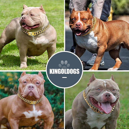 Gold Dog Chain Collars 18K Metal Cuban Link with Secure Buckle for Small Medium Large Dogs