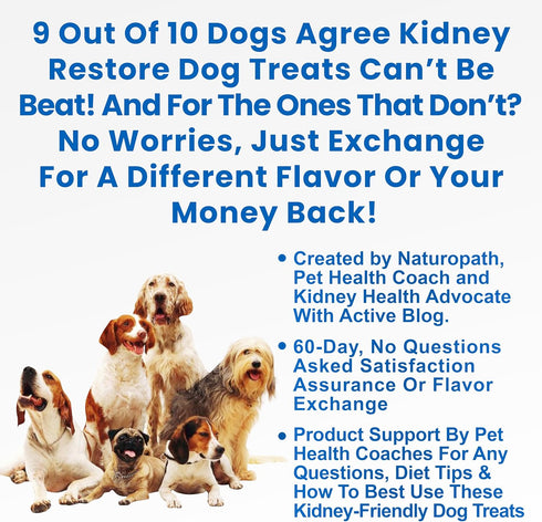 Kidney Restore Tuna Dog Treats - Special Low Protein Snacks for Canine Kidney Health, Renal Dog Treats